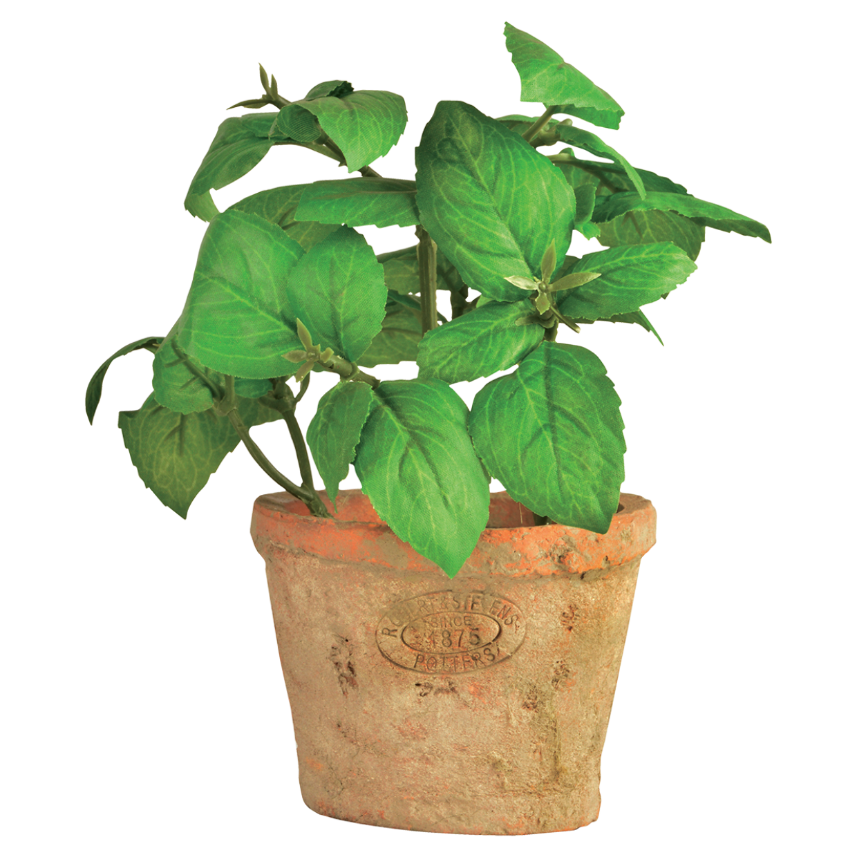 Artificial Basil In Terracotta Pot