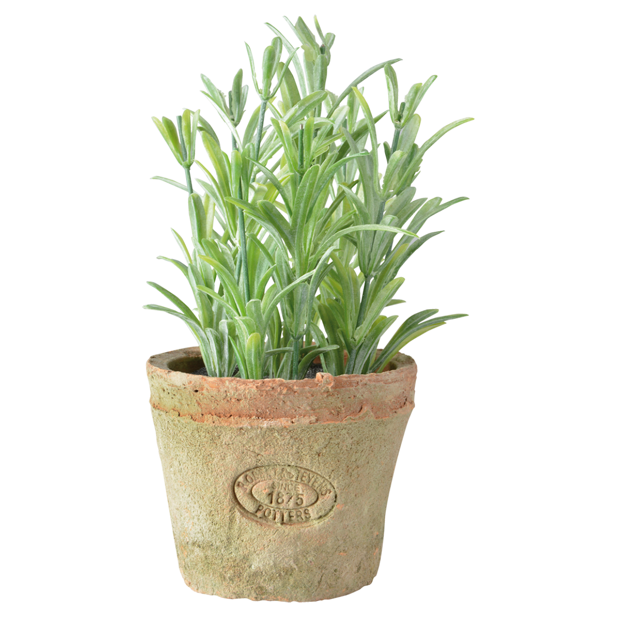 Artificial Rosemary in Terracotta Pot