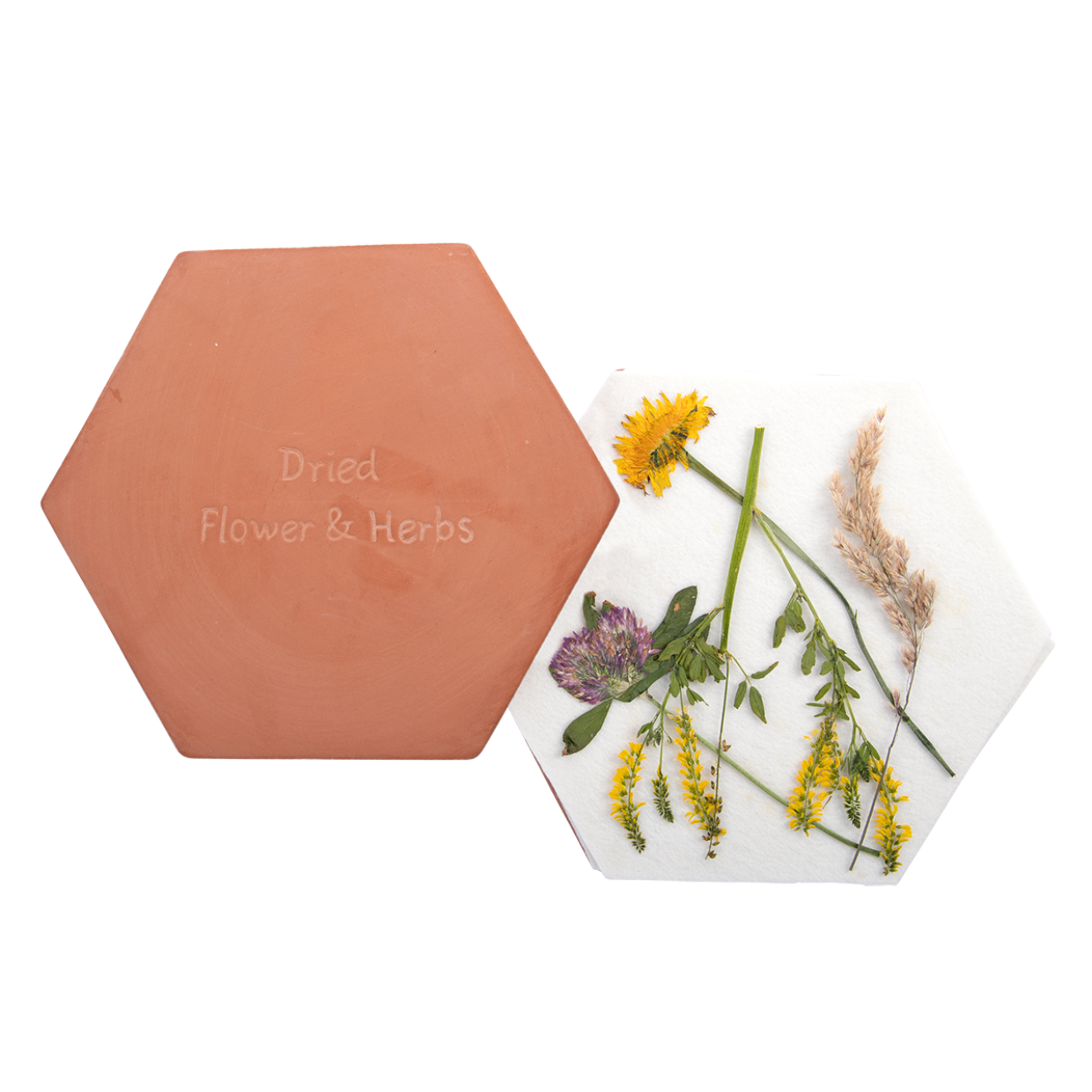 Microwave Flower & Herb Press