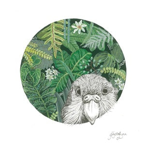 Art Print Native Kakapo