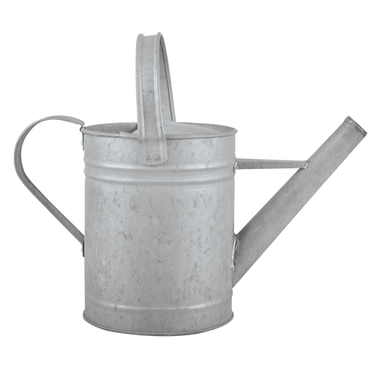 Old Zinc Watering Can 1.5 Litre