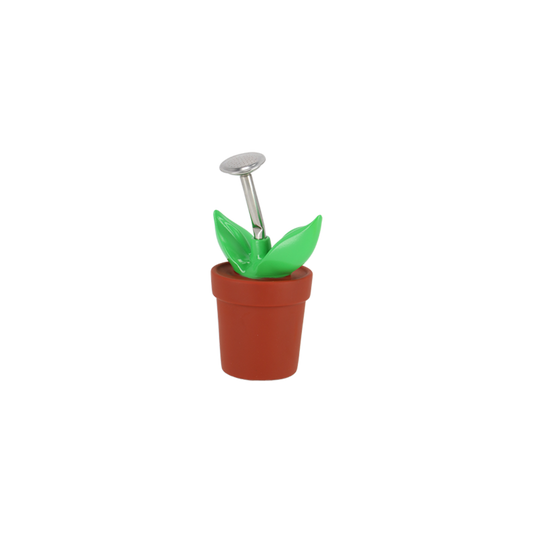 Squeeze Sprinkler Gardening Succulent